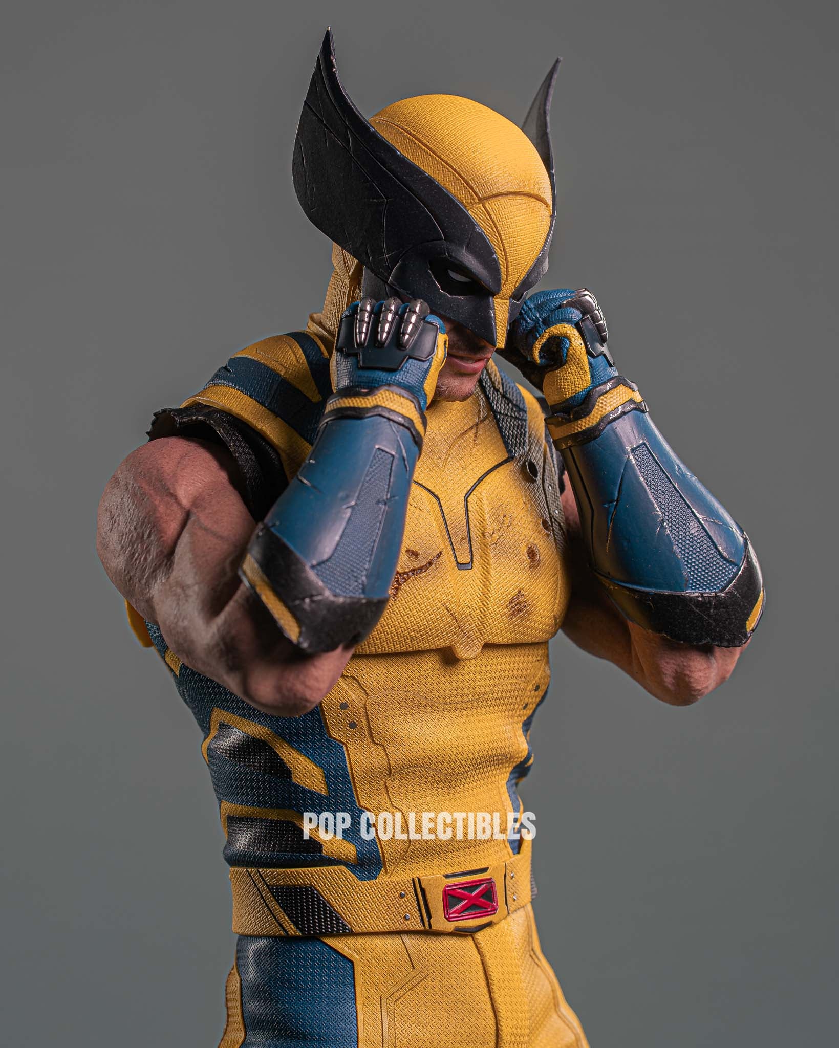 Hot Toys MMS754 Deadpool and Wolverine: Wolverine 1/6 Scale Collectible Figure Deluxe Edition - Image 5